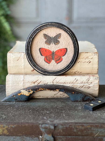 Kaleidoscope Butterflies | No. 2 | NOT CURRENTLY IN STOCK-New For Spring 2026!