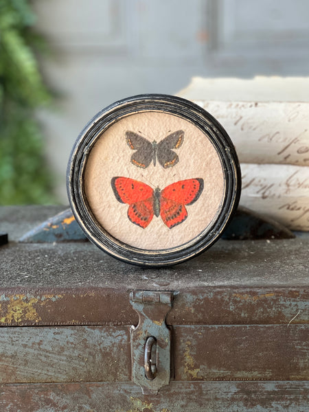 Kaleidoscope Butterflies | No. 2 | NOT CURRENTLY IN STOCK-New For Spring 2026!