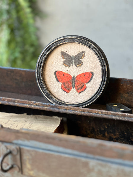 Kaleidoscope Butterflies | No. 2 | NOT CURRENTLY IN STOCK-New For Spring 2026!