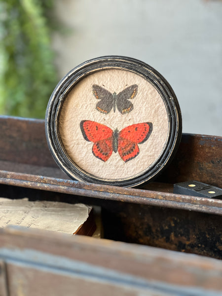 Kaleidoscope Butterflies | No. 2 | NOT CURRENTLY IN STOCK-New For Spring 2026!