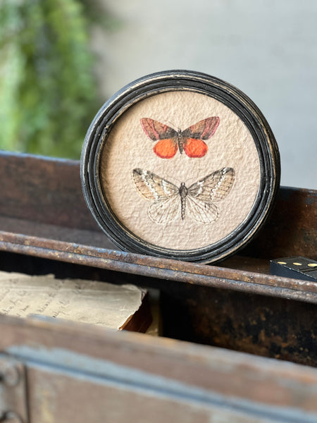 Kaleidoscope Butterflies | No. 3 | NOT CURRENTLY IN STOCK-New For Spring 2026!