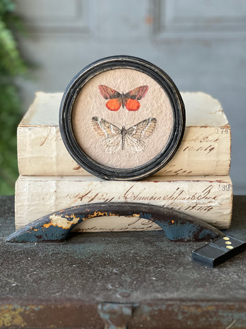 Kaleidoscope Butterflies | No. 3 | NOT CURRENTLY IN STOCK-New For Spring 2026!