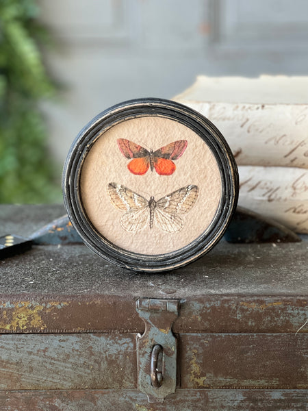 Kaleidoscope Butterflies | No. 3 | NOT CURRENTLY IN STOCK-New For Spring 2026!