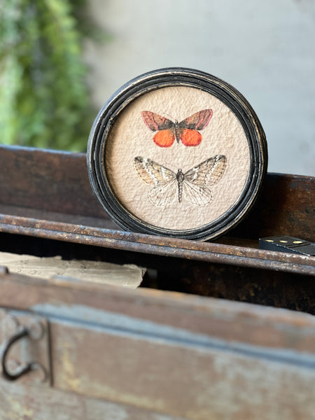 Kaleidoscope Butterflies | No. 3 | NOT CURRENTLY IN STOCK-New For Spring 2026!