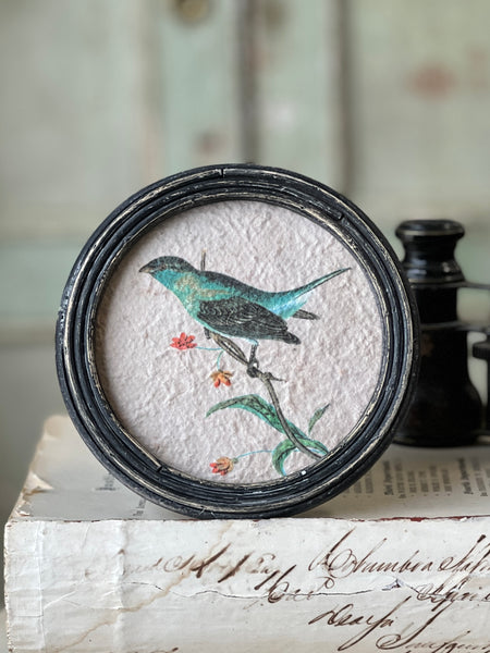 Perched Portraits | No. 1 | NOT CURRENTLY IN STOCK-New For Spring 2026!