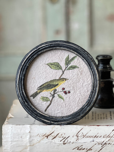 Perched Portraits | No. 2 | NOT CURRENTLY IN STOCK-New For Spring 2026!