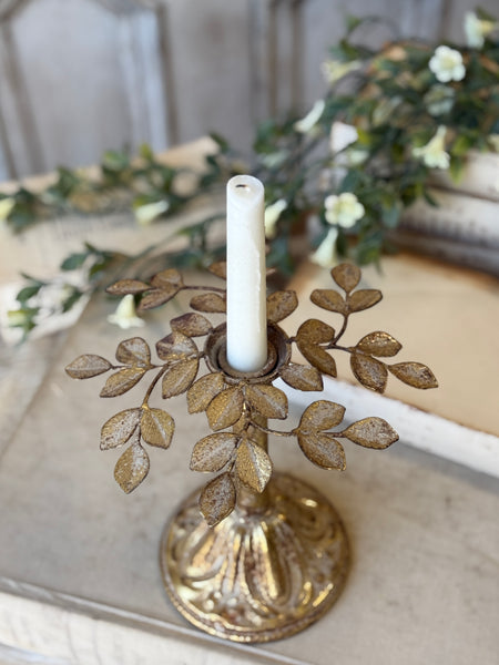 Illuminated Leaves Taper Holder | 8" | NOT CURRENTLY IN STOCK-New For Spring 2027!