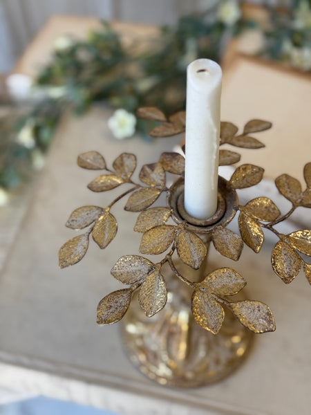 Illuminated Leaves Taper Holder | 8" | NOT CURRENTLY IN STOCK-New For Spring 2027!
