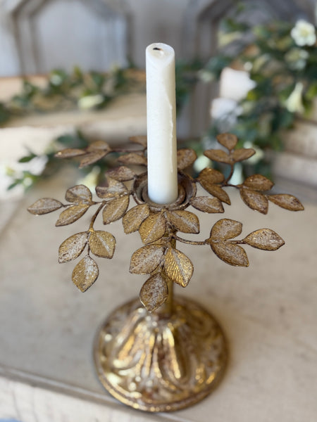 Illuminated Leaves Taper Holder | 8" | NOT CURRENTLY IN STOCK-New For Spring 2027!