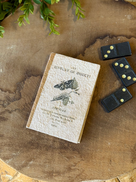 Petite Pages | Insects | NOT CURRENTLY IN STOCK-New For Spring 2027!