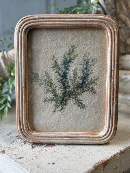 Framed Florella | No. 1 | NOT CURRENTLY IN STOCK-New For Spring 2027!