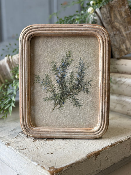 Framed Florella | No. 1 | NOT CURRENTLY IN STOCK-New For Spring 2027!