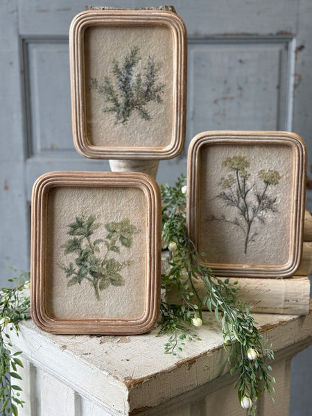 Framed Florella | 9.5" | No. 3 | NOT CURRENTLY IN STOCK-New For Spring 2027!