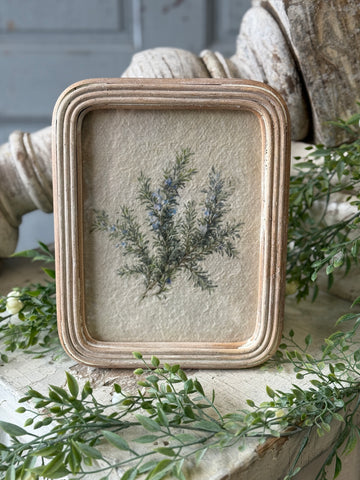Framed Florella | No. 1 | NOT CURRENTLY IN STOCK-New For Spring 2027!