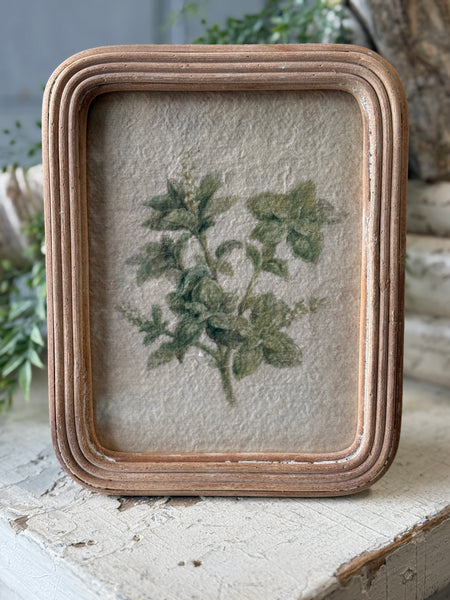 Framed Florella | No. 2| NOT CURRENTLY IN STOCK-New For Spring 2027!