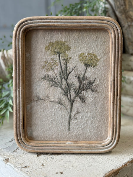 Framed Florella | 9.5" | No. 3 | NOT CURRENTLY IN STOCK-New For Spring 2027!