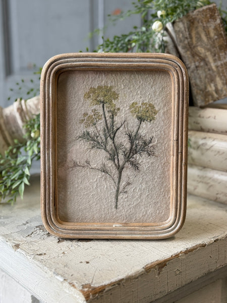 Framed Florella | 9.5" | No. 3 | NOT CURRENTLY IN STOCK-New For Spring 2027!