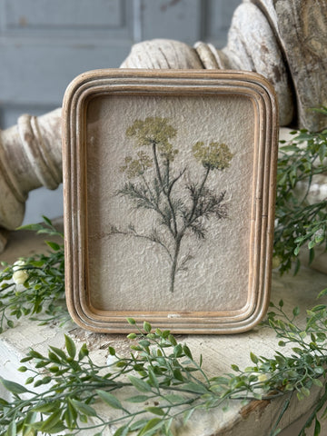 Framed Florella | 9.5" | No. 3 | NOT CURRENTLY IN STOCK-New For Spring 2027!
