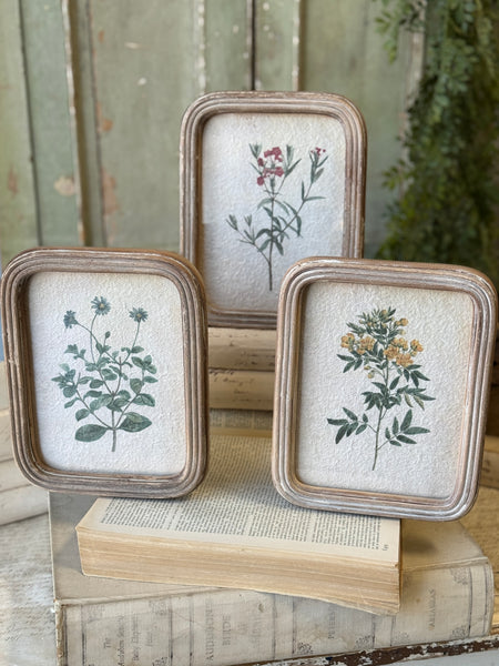 Flora of Ashland | 9.5" | No. 3 | NOT CURRENTLY IN STOCK-New For Spring 2027!