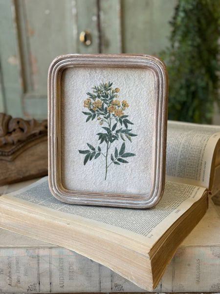 Flora of Ashland | 9.5" | No. 2 | NOT CURRENTLY IN STOCK-New For Spring 2027!