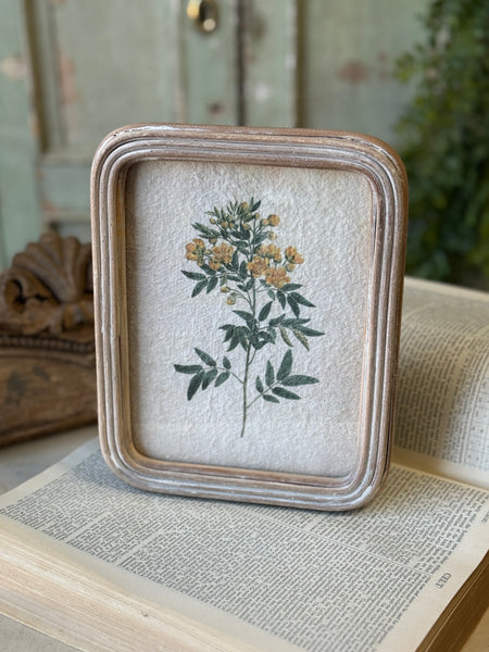 Flora of Ashland | 9.5" | No. 2 | NOT CURRENTLY IN STOCK-New For Spring 2027!
