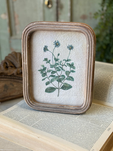 Flora of Ashland | 9.5" | No. 3 | NOT CURRENTLY IN STOCK-New For Spring 2027!