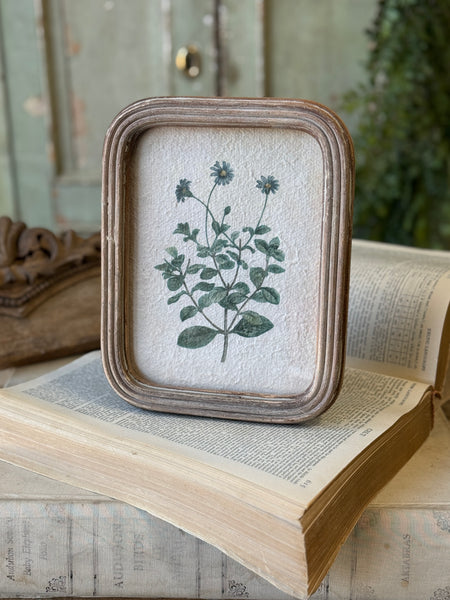 Flora of Ashland | 9.5" | No. 3 | NOT CURRENTLY IN STOCK-New For Spring 2027!