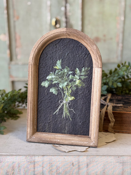Halo Herbs | 7.75" | Cilantro | NOT CURRENTLY IN STOCK-New For Spring 2027!