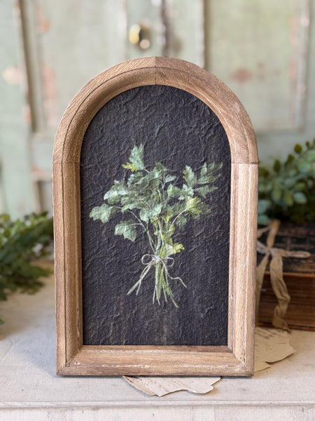 Halo Herbs | 7.75" | Cilantro | NOT CURRENTLY IN STOCK-New For Spring 2027!