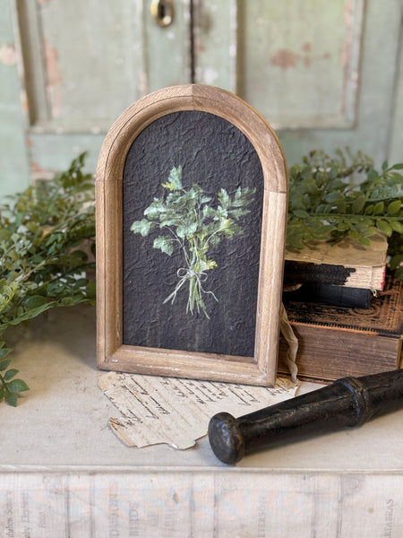 Halo Herbs | 7.75" | Cilantro | NOT CURRENTLY IN STOCK-New For Spring 2027!