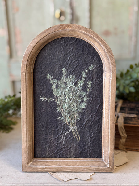 Halo Herbs | 7.75" | Thyme | NOT CURRENTLY IN STOCK-New For Spring 2027!