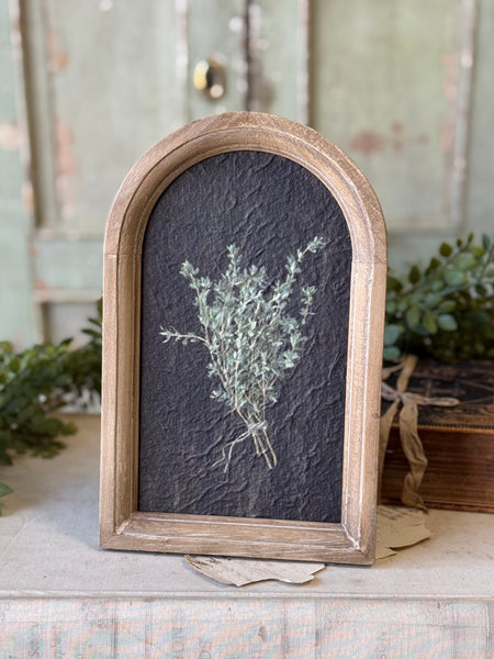 Halo Herbs | 7.75" | Thyme | NOT CURRENTLY IN STOCK-New For Spring 2027!