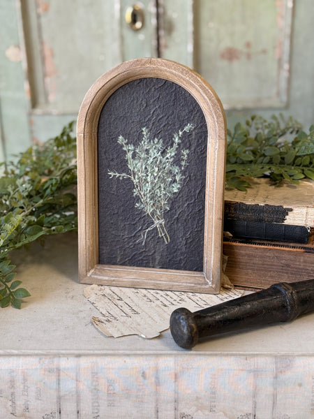Halo Herbs | 7.75" | Thyme | NOT CURRENTLY IN STOCK-New For Spring 2027!