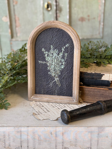 Halo Herbs | 7.75" | Thyme | NOT CURRENTLY IN STOCK-New For Spring 2027!