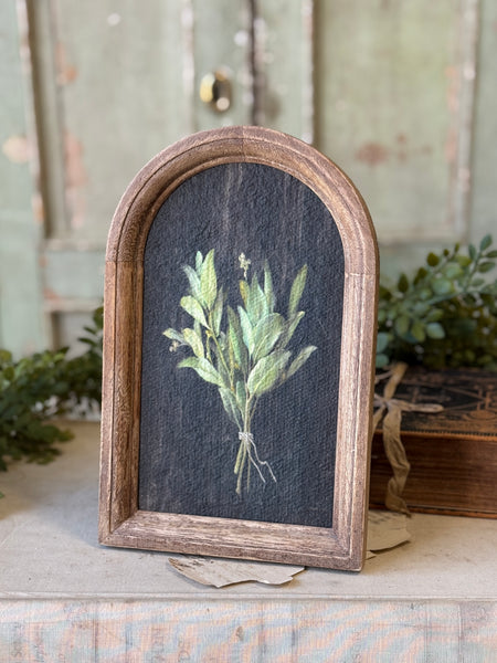 Halo Herbs | 7.75" | Sage | NOT CURRENTLY IN STOCK-New For Spring 2027!