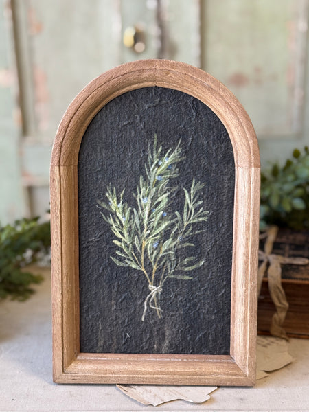 Halo Herbs | 7.75" | Rosemary | NOT CURRENTLY IN STOCK-New For Spring 2027!