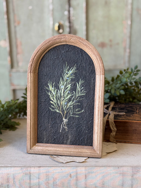 Halo Herbs | 7.75" | Rosemary | NOT CURRENTLY IN STOCK-New For Spring 2027!