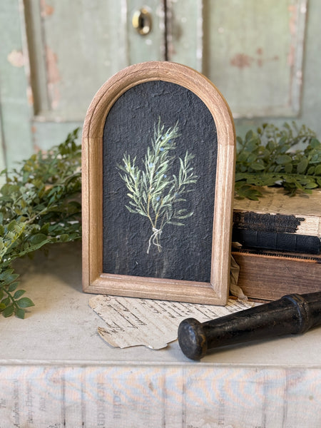 Halo Herbs | 7.75" | Rosemary | NOT CURRENTLY IN STOCK-New For Spring 2027!