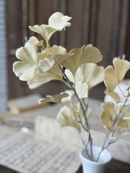 Fanlight Spray | 24" | Flax | NOT CURRENTLY IN STOCK-New For Holiday 2026!