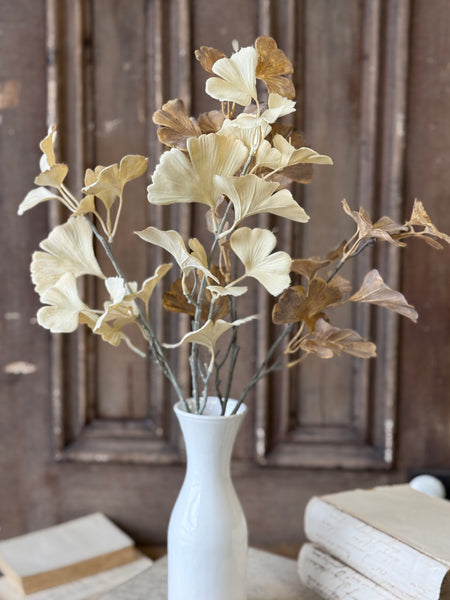 Fanlight Spray | 24" | Flax | NOT CURRENTLY IN STOCK-New For Holiday 2026!