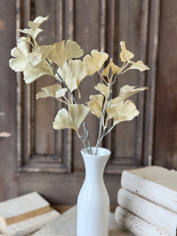 Fanlight Spray | 24" | Flax | NOT CURRENTLY IN STOCK-New For Holiday 2026!