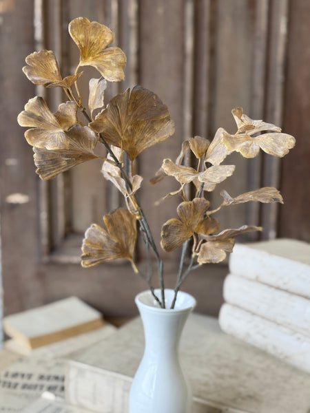 Fanlight Spray | 24" | Earth | NOT CURRENTLY IN STOCK-New For Holiday 2026!