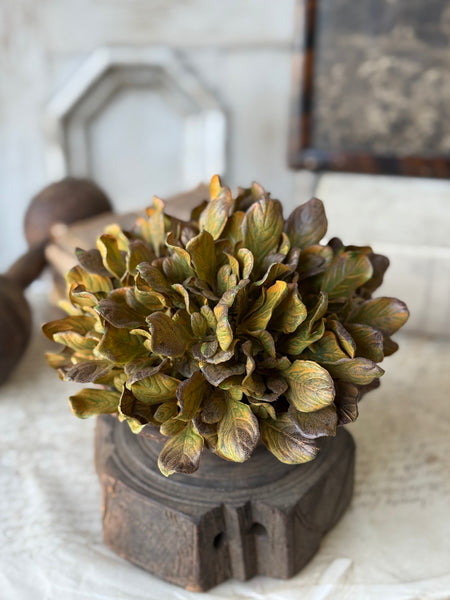 Sepia Groves Half Sphere | 7.5" | NOT CURRENTLY IN STOCK-New For Holiday 2026!