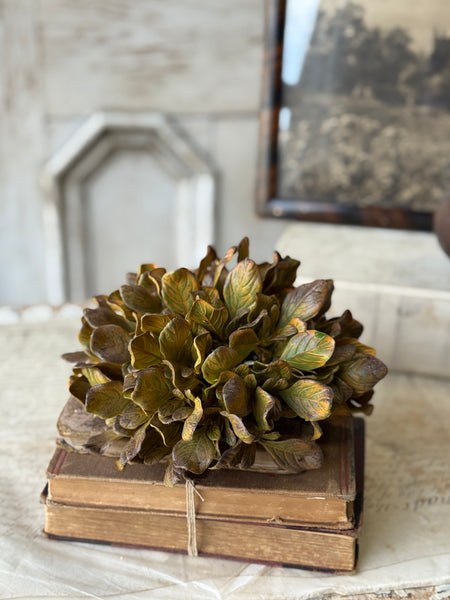 Sepia Groves Half Sphere | 7.5" | NOT CURRENTLY IN STOCK-New For Holiday 2026!