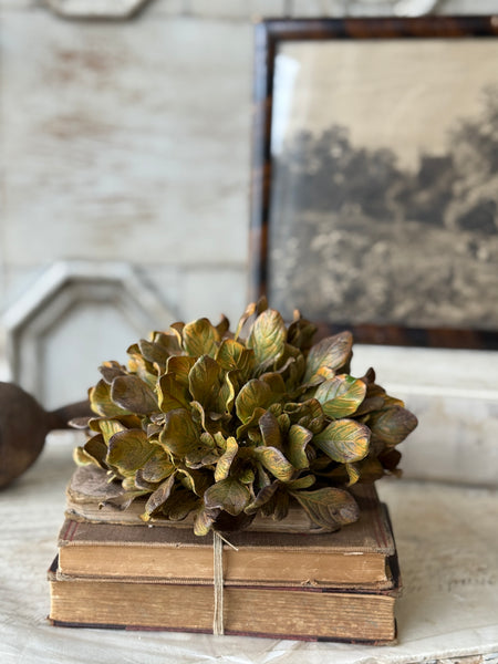 Sepia Groves Half Sphere | 7.5" | NOT CURRENTLY IN STOCK-New For Holiday 2026!