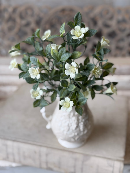 Dream Caller Bush | 13" | NOT CURRENTLY IN STOCK-New For Spring 2027!