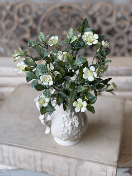 Dream Caller Bush | 13" | NOT CURRENTLY IN STOCK-New For Spring 2027!