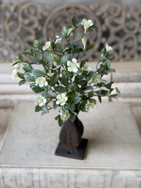 Dream Caller Bush | 13" | NOT CURRENTLY IN STOCK-New For Spring 2027!