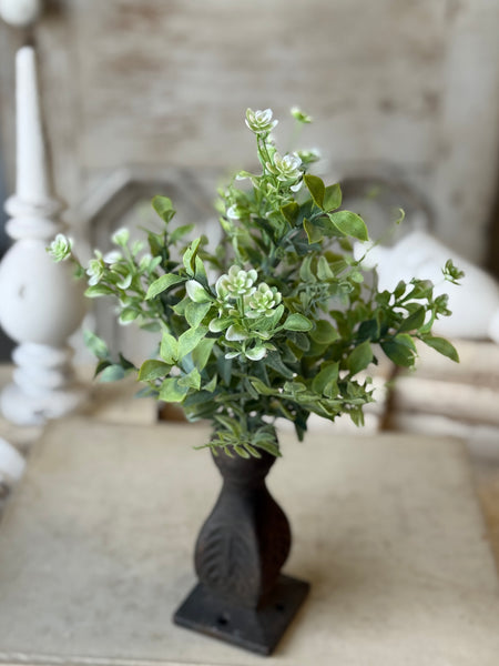 Admiration Blooms Bush | 14" | NOT CURRENTLY IN STOCK-New For Spring 2027!