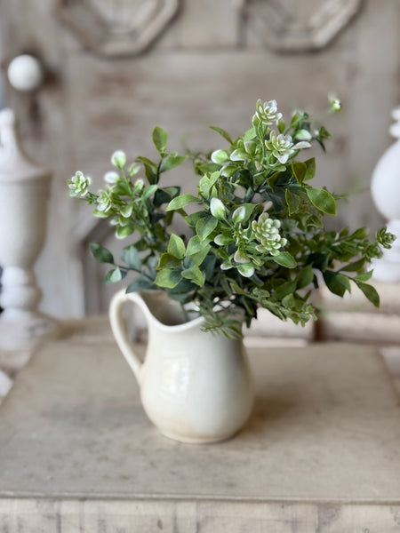 Admiration Blooms Bush | 14" | NOT CURRENTLY IN STOCK-New For Spring 2027!